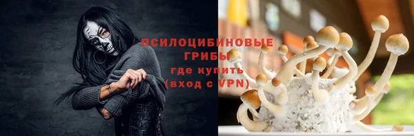 a pvp Каменск-Шахтинский