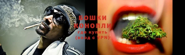 ALPHA PVP Каменка