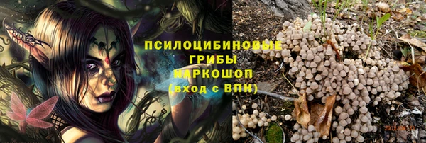 a pvp Каменск-Шахтинский