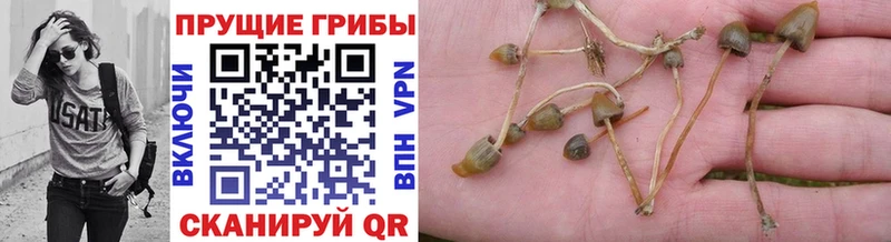 Галлюциногенные грибы ЛСД  наркотики  Саратов 